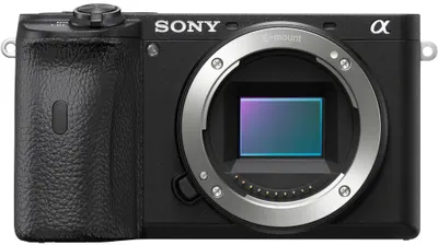 Aparat foto fără oglindă Sony - A6600, 24.2MPx, negru
