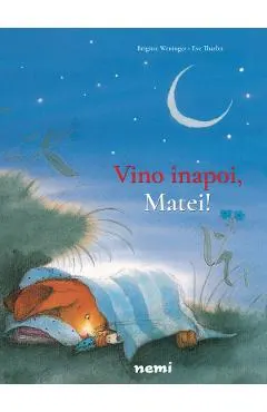 Vino inapoi, Matei!