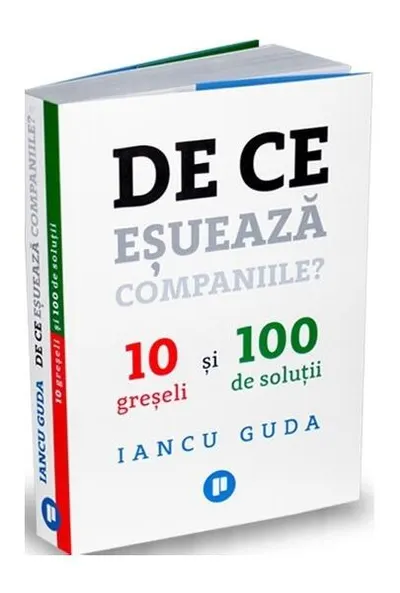 De ce eșuează companiile? - Paperback brosat - Iancu Guda