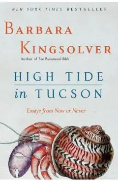 High Tide in Tucson: Essays from Now or Never