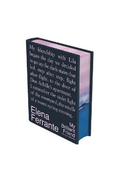 My Brilliant Friend Deluxe Edition: The Four Volumes: My Brilliant Friend, the Story of a New Name, Those Who Leave and Those Who Stay, the Story of t