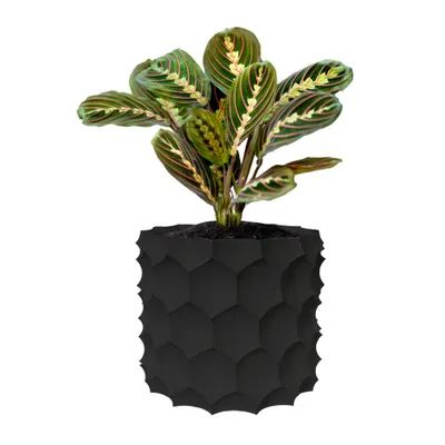 Ghiveci de flori 3d, Razorix , rotund 13 x 12 cm, Culoare Antracit Engros