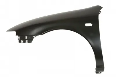 Aripa fata stanga (locas semnalizator, otel) SEAT LEON, TOLEDO II 1999-2006