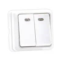 Intrerupator dublu cu LED Eco Premium aparent