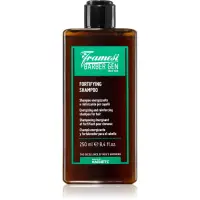 Framesi Barber Gen Fortifying sampon de întărire pentru părul subtiat cu tendința de a cădea 250 ml