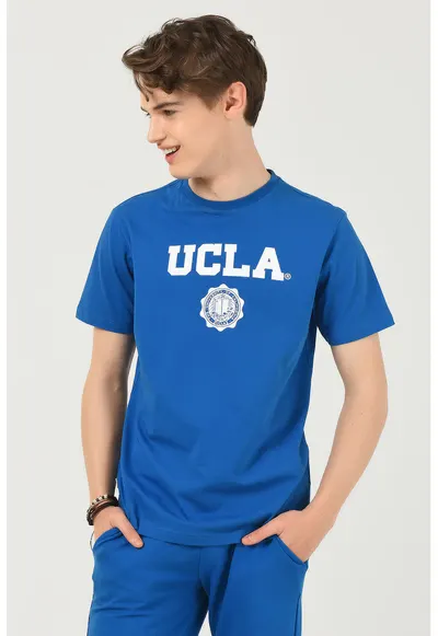 Tricou cu imprimeu logo Gayley - Alb/Albastru inchis