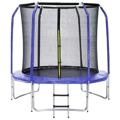 Trambulina cu plasa de siguranta Ocie Blue 305 cm