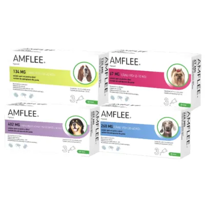 Amflee Pipeta Caine - s