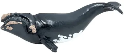 Figurină Papo Marine Life - Balenă din Groenlanda