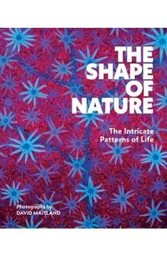Shape of Nature