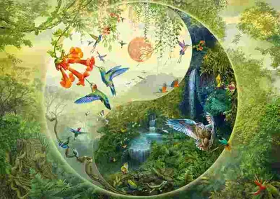 Puzzle 1000 piese - Yin & Yang - In padurea colibri