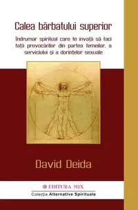 Calea bărbatului superior - Paperback brosat - David Deida