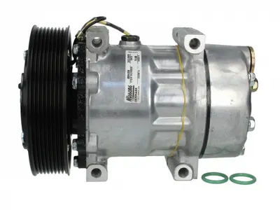 Compresor climatizare potrivit RVI KERAX, MAXITY, PREMIUM 2; NISSAN CABSTAR, NT400 CABSTAR 10.05