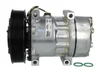 Compresor climatizare potrivit RVI KERAX, MAXITY, PREMIUM 2; NISSAN CABSTAR, NT400 CABSTAR 10.05-