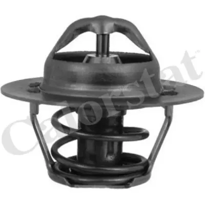 Termostat, lichid racire CALORSTAT by Vernet TH5955.88J