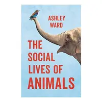 Social Lives of Animals