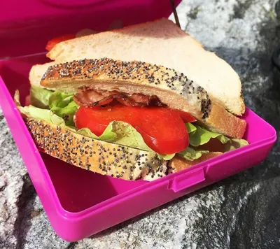 Caserola sandwich Carl Oscar gri