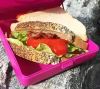 Caserola sandwich Carl Oscar gri
