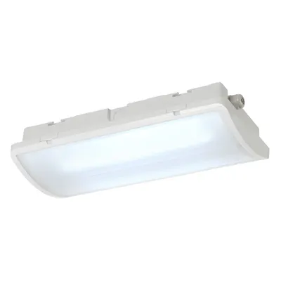 Corp iluminat TAVAN, P-LIGHT lumenul Plafon, LED-uri, 6000K, IP65, dreptunghiular Inclinatie, alb, 6,5W