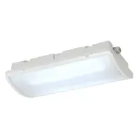 Corp iluminat TAVAN, P-LIGHT lumenul Plafon, LED-uri, 6000K, IP65, dreptunghiular Inclinatie, alb, 6,5W,