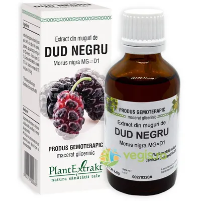 Extract din Muguri de Dud Negru 50ml