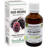 Extract din Muguri de Dud Negru 50ml