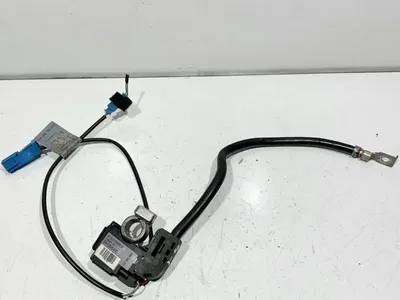 Senzor borna minus 9184208 BMW Seria 1 LCI (2008-2011) (E81,E87) 1.6 benzina N43B16