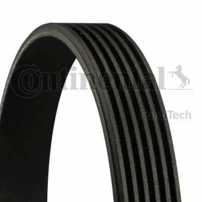 Curea transmisie cu caneluri CONTINENTAL CTAM 6PK2196