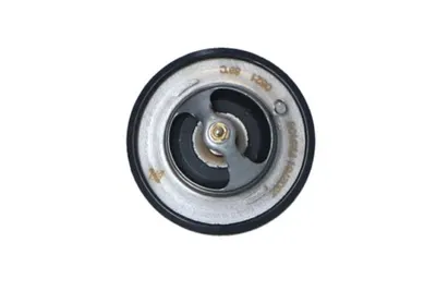 Termostat Lichid Racire (82; 95 C) Potrivit Citroen C4 Aircross, C-Crosser, C-Crosser Enterprise; Lexus Gs, Is I, Is Sportcross; Mini (r50, R53); Mitsubishi Asx, Lancer Viii 1.3-3.0 11.88