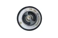 Termostat Lichid Racire (82; 95 C) Potrivit Citroen C4 Aircross, C-Crosser, C-Crosser Enterprise; Lexus Gs, Is I, Is Sportcross; Mini (r50, R53); Mitsubishi Asx, Lancer Viii 1.3-3.0 11.88-