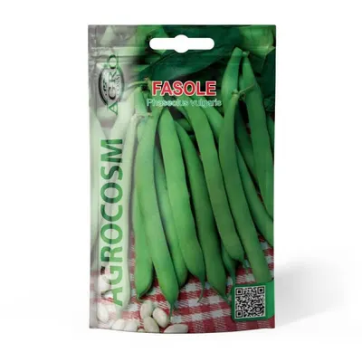 Seminte Fasole Oloaga Saxa, Agrocosm
