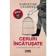 Ceruri incatusate