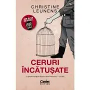 Ceruri incatusate