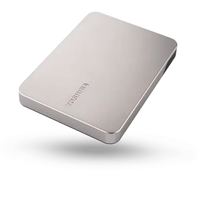 HDD extern TOSHIBA Canvio Flex, 4 TB, USB 3.x Gen 1, Argintiu