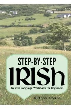 Step-by-Step Irish: An Irish Language Workbook for Beginners