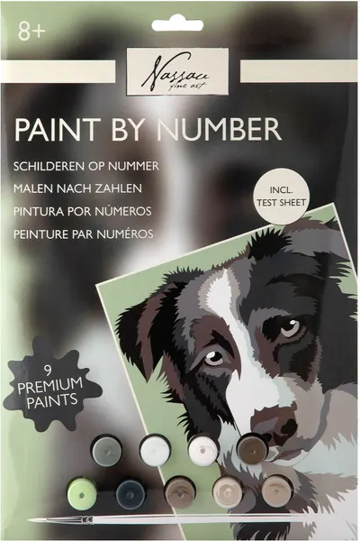 Grafix Paint by Numbers Set - Câine