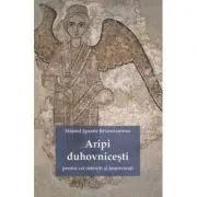 Aripi duhovnicesti pentru cei osteniti si impovarati