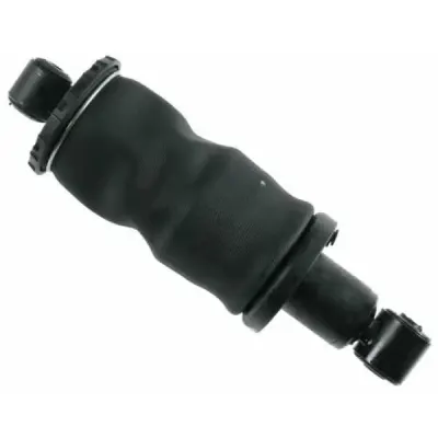 Sachs 313 183