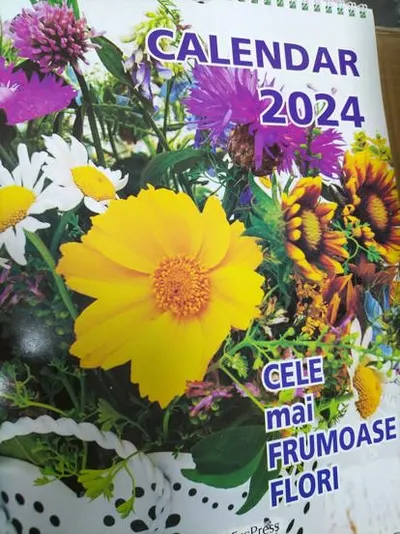 Calendar 2024