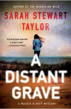 A Distant Grave: A Maggie d'Arcy Mystery