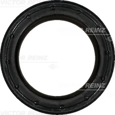 Simering, ax cu came VICTOR REINZ 81-40538-00