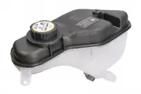 Vas expansiune racire (cu priza) potrivit JAGUAR S-TYPE II, XF I, XF SPORTBRAKE, XJ 01.99-12.19