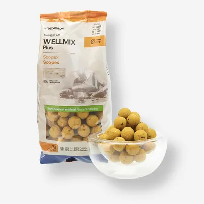 Boilies Pescuit la Crap Wellmix Plus 20mm 1kg Scopex