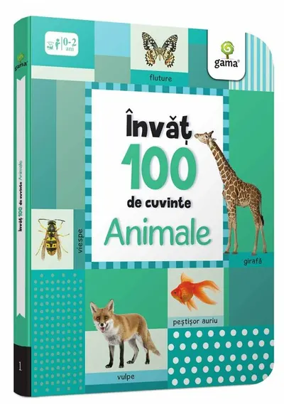 Invat 100 de cuvinte
