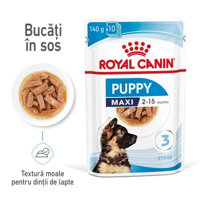 Royal Canin Maxi Puppy hrana umeda caine junior (in sos), 140 g