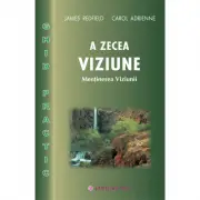 A zecea Viziune, ghid practic