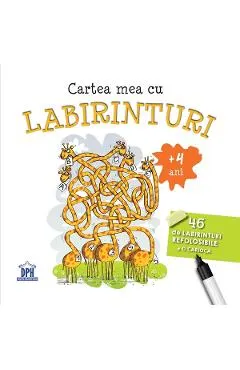 Cartea mea cu labirinturi. 46 de labirinturi refolosibile + o carioca 4 ani+