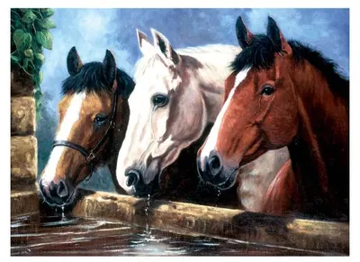 Set de pictură cu vopsele acrilice Royal - Cai la adăpător, 39 x 30 cm