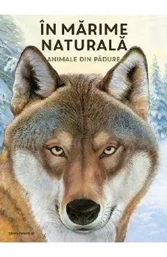 In marime naturala. Animale din padure