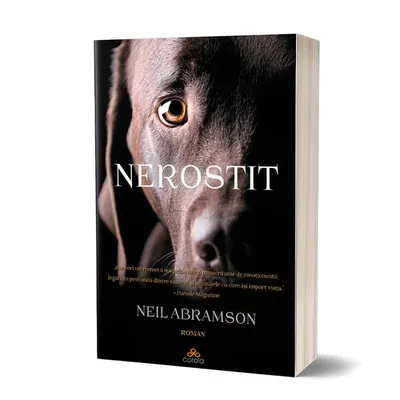 Nerostit - Paperback - Neil Abramson